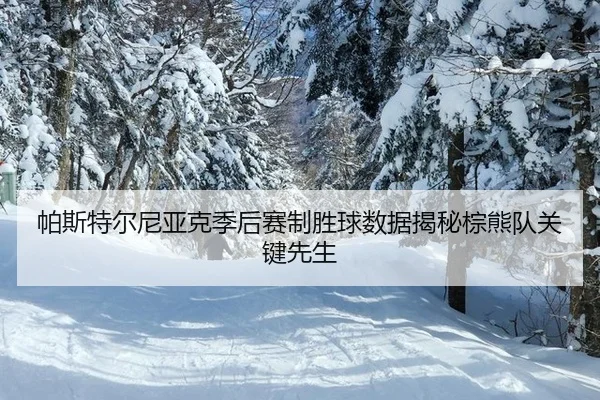 pa-si-te-er-ni-ya-ke-ji-hou-sai-zhi-sheng-qiu-shu-ju-jie-mi-zong-xiong-dui-guan-jian-xian-sheng-2-636.jpg