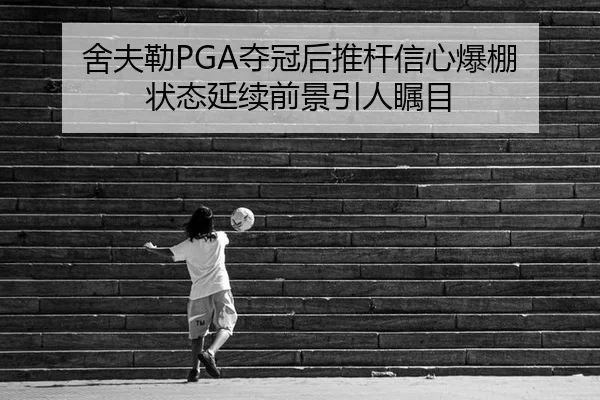 she-fu-lei-duo-guan-hou-tui-gan-xin-xin-bao-peng-zhuang-tai-yan-xu-qian-jing-yin-ren-zhu-mu-2-661.jpg
